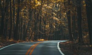 sanjati cestu sanjati cestu