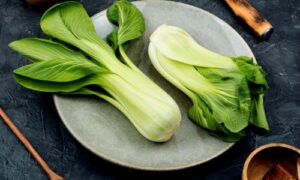 sanjati vegetarijanca