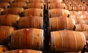 sanjati bačvu sanjati bačvu