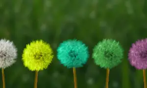 promjene natalna karta promjene natalna karta
