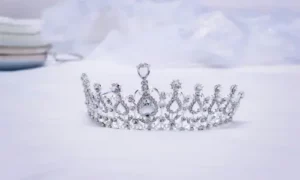 sanjati caricu sanjati caricu